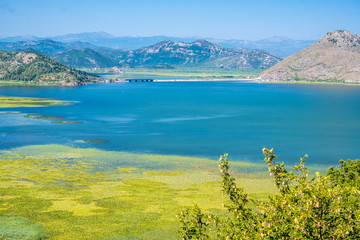 Fototapeta na wymiar Skadar Lake in Montenegro, wetland and mountain views.