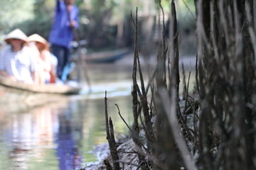 Einbaum Reishut Vietnam Wurzel