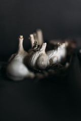 Garlic still life. Dried garlic cloves