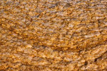 Photo of natural dirty foam on a river during the summer day.