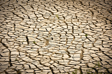 Background image of the surface of a withered lake and cracked by drought