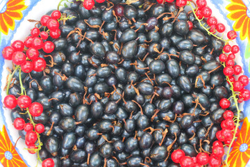 black and red currant berries on a plate