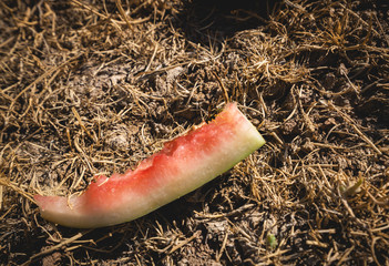 Watermelon peel scattered on the ground