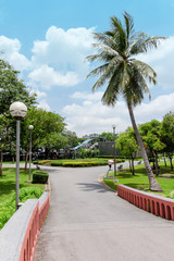 Obraz premium View inside the natural garden on a bright day