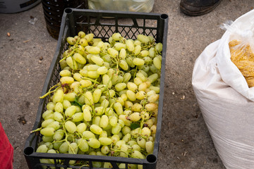 Fresh green grapes in black basket at weekly farmers market in Yenifoca in the Izmir province in Turkey. Fresh sweet organic grapes.
