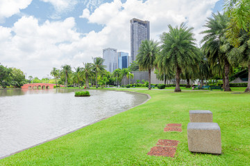 View inside the natural garden on a bright day