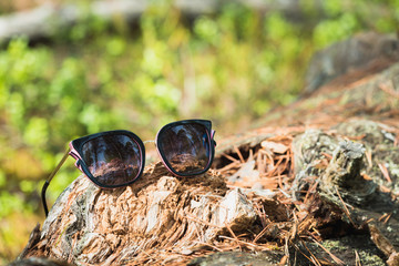 Tourist sunglasses with dark lenses on pine tree in the forest.