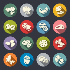 Nuts flat vector icon set