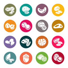 Nuts colourful vector icons