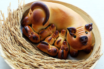 moon cake with mother pig and piglets shape on white © xuanhuongho
