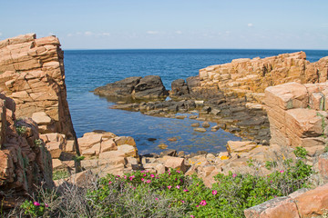 Im Naturreservat Hovs Hallar