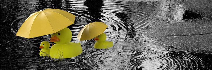 yellow rubber duck family with yellow umbrellas in the rain