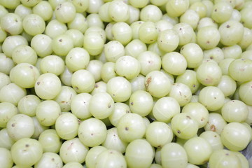 fruit close-up Thai fruit eggplant