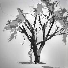 silhouette of tree on a black background
