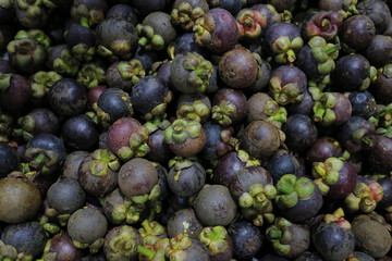 fruit thailand otop ancient mangosteen