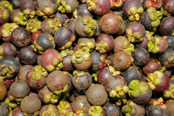 fruit thailand otop ancient mangosteen