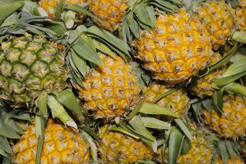 fruit thailand otop ancient pineapple