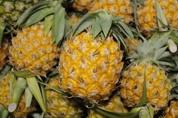 fruit thailand otop ancient pineapple