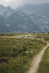 landscape in the mountains