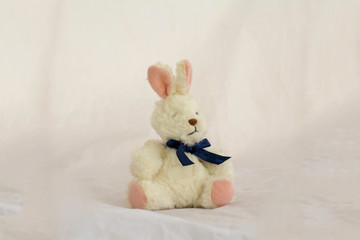 Stuffed rabbit on the white background
