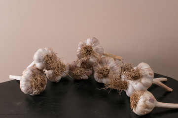 natural large garlic to the table