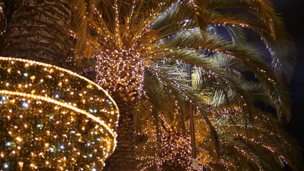 Biarritz Noel