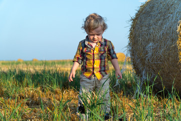 Little fair-haired boy playing with a kitten on a wheat field with bales
