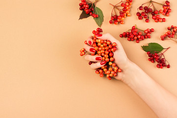 Minimalist fall autumn flat lay with berries on biege background, manicure theme