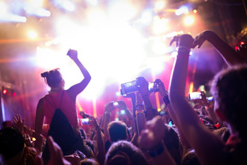 Portrait of happy crowd enjoying at music festival