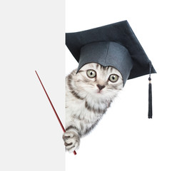 Graduated cat holding a pointing stick and points on empty white banner. isolated on white background