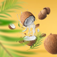 Flying in air fresh ripe whole and cracked coconut with palm leave