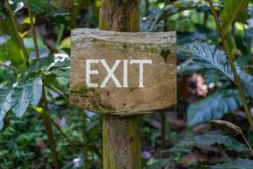Text exit on a wooden board in a rainforest jungle of tropical Bali island, Indonesia. Exit wooden sign inscription in the asian tropics.