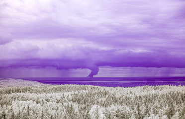 Fototapete bei efototapeten.de bestellen   