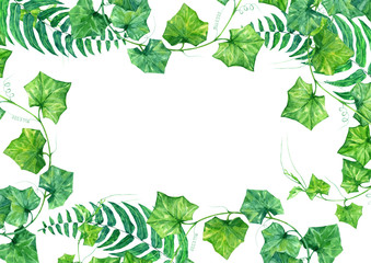 Fototapeta premium leaf, green, frame, foliage, greenery, nature, garden, floral, botanical, wedding, design,