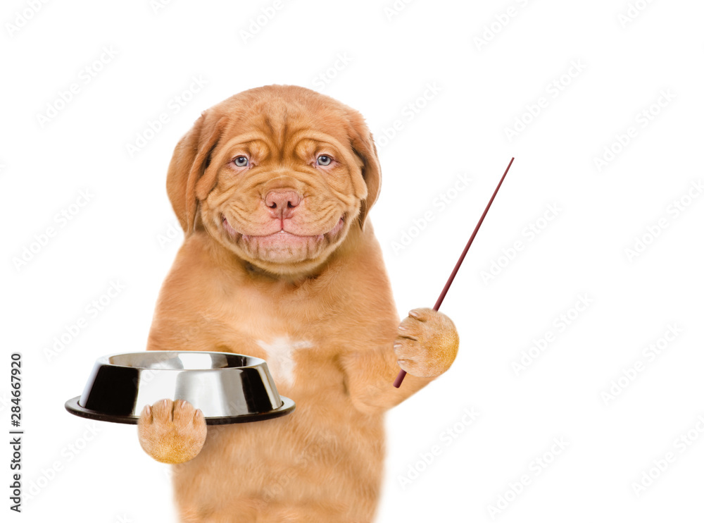 Poster Smiling puppy holding empty bowl and pointing away on empty space. isolated on white background