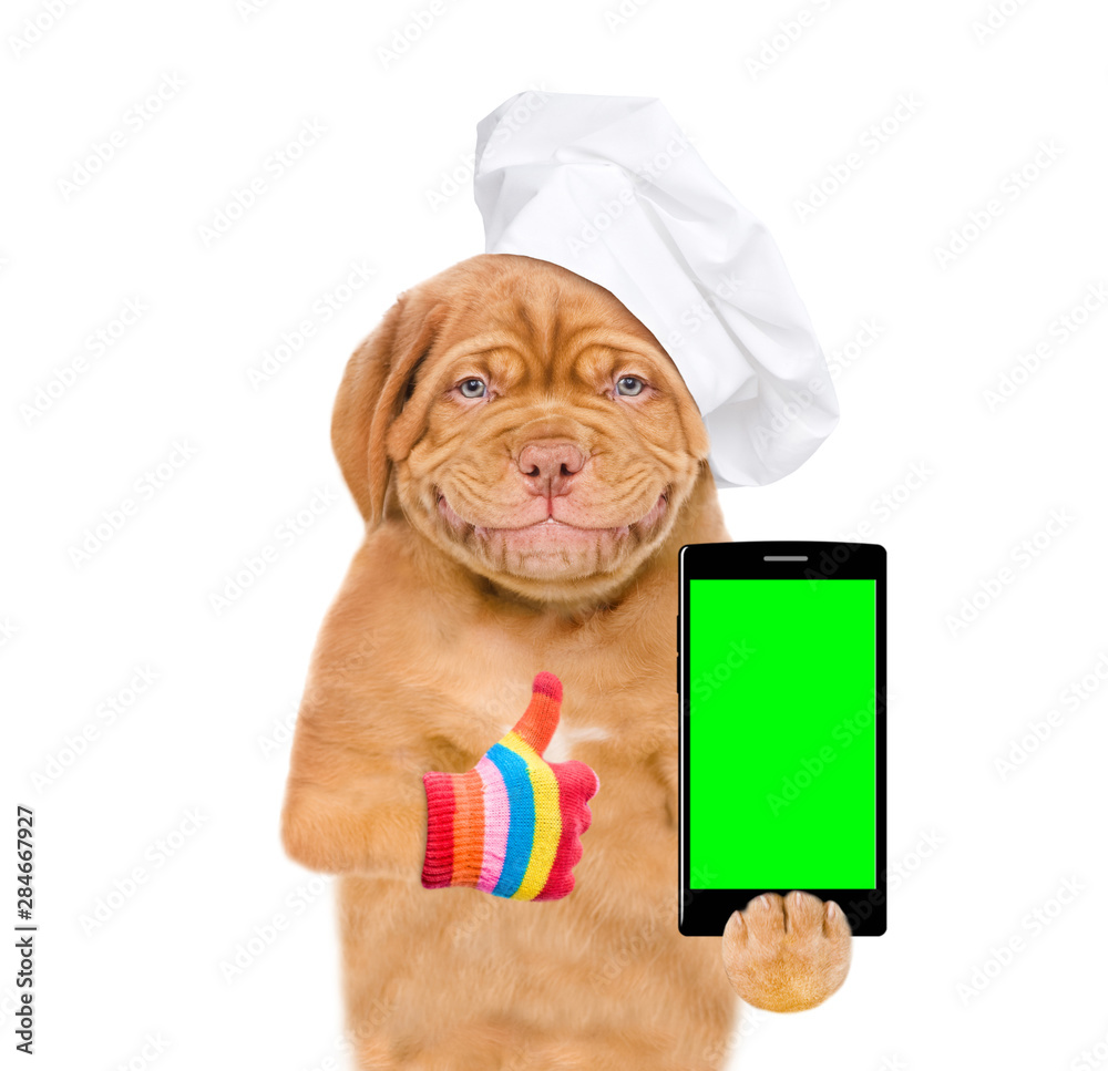 Poster Smiling puppy in chef's hat with smartphone showing thumbs up. isolated on white background
