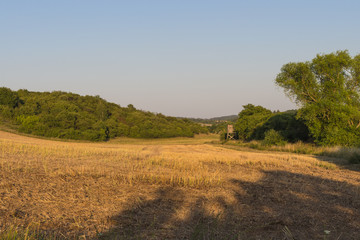 Fototapeta premium Landschaft im Sommer