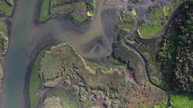 Aerial view, Marshes in Rada, Marismas de Santo&ntilde;a, Noja y Joyel Natural Park, Cantabria, Spain, Europe