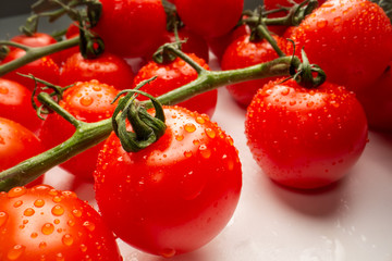 Ripe natural tomatoes on a branch. Wide angle