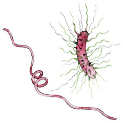 Microbe or germ hand drown illustration. Watercolor background set. Isolated microorganism illustration element.