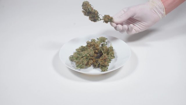 laying cannabis cones on a plate, using marijuana