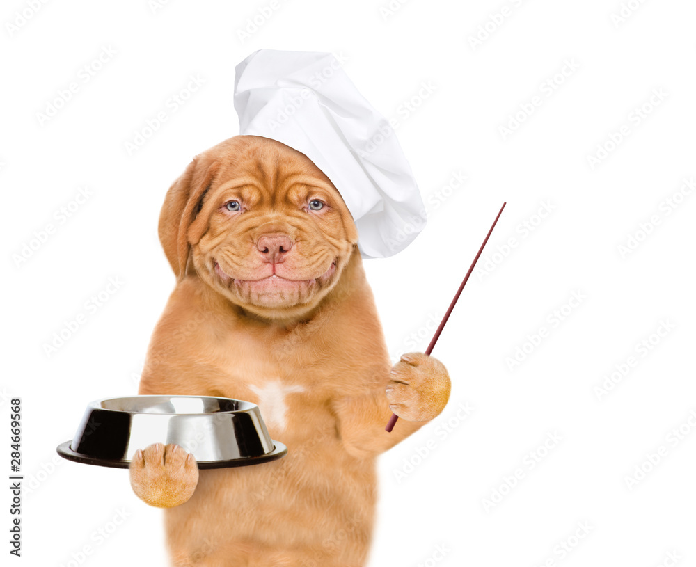 Poster Smiling puppy in chef's cap holding empty bowl and pointing away on empty space. isolated on white background
