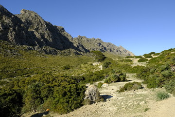 Landschaft und Steilk&uuml;ste im Vall de B&oacute;quer  auf der Halbinse Formentorl, Mallorca, Balearen, Spanien