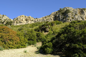 Fototapeta na wymiar Landschaft und Steilküste im Vall de Bóquer auf der Halbinse Formentorl, Mallorca, Balearen, Spanien