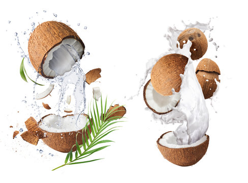 Creative Collection set with Flying in air fresh ripe whole and cracked coconut with milk splashes