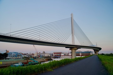 平井大橋周辺から見た景色