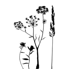 Vector silhouette flowers, black color, isolated on white background