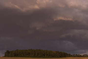 Landschaft im Sommer