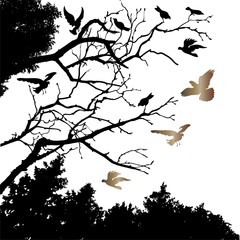 silhouette dry tree with two crows. vector illustration