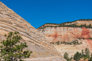 Fototapeta na wymiar Zion National Park low angle landscape of orange and white stone hillsides at Checkerboard Mesa